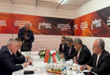 Iran, Belarus discuss establishing joint power plant repair center