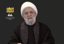 Hezbollah chief declares US-brokered framework agreement ‘effectively nonexistent’