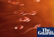 Teenager becomes first person to have testicular tissue transplant in UK