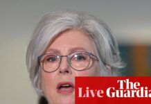 Helen Haines: independent MP in critical condition in Melbourne’s Alfred hospital after being struck by car in Wangaratta – follow updates