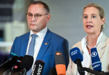 Political ‘firewall’ breached in eastern Germany – AfD