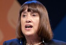 Jane Dodds standing down as Welsh Liberal Democrats leader