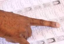 UP: Glitches In Over 10,000 Voter Entries In Pilibhit; Probe Ordered Against 2 SDMs, Operator Dismissed