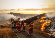 Firefighters and public ‘knowingly put at risk’ during summer wildfires