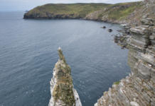 Seabirds and sewage among UNESCO status challenges