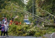 Storm Austen to bring severe gales to UK as weather warning issued