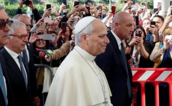 Pope diagnosed with lung cancer but had successful surgery, Vatican says