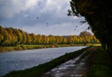 Inside Germany: Four personal traditions that keep me excited for autumn