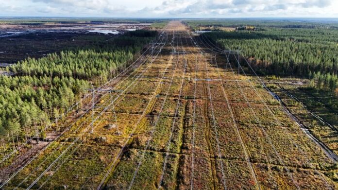 AFP__20261004__C9W887M__v1__HighRes__FinlandTechnologyGoogleAi-1791325820.jpg