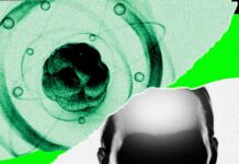 AI Came for Math. Now It’s Chasing the Rest of Science