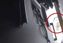 How a foreign government helped accused Saudi spy’s family flee US after OpenAI bug scandal