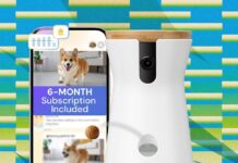 The Best Amazon Prime Day Pet Deals on Feeders, Litter Boxes, and More (2026)