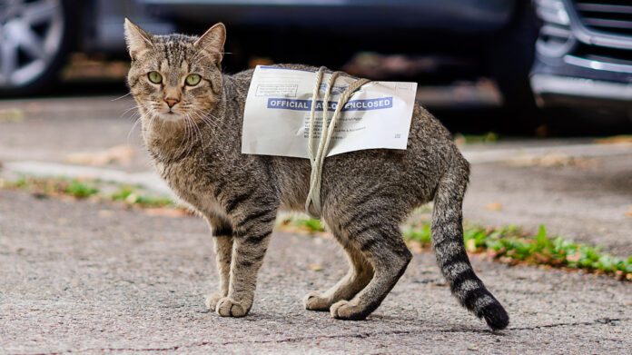 Election_Officials_NIB_IHA_GR.jpg