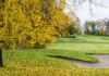 Embrace your own ‘silly season’ of golf