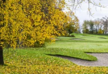 Embrace your own ‘silly season’ of golf