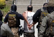 ICE Emails Discuss Using Palantir-Supported Tool to Investigate Voter Fraud