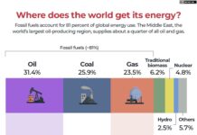 ‘Energy ceasefire’: What’s behind Trump’s love-hate ties to Russian oil?