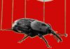 The PHP Meltdown Shows How AI Makes Bugs More Exploitable