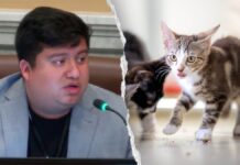 Blue state councilman mocked after claiming self-driving cars are ‘murdering’ pets: ‘Hide your cats’