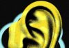 An OpenAI Employee Allegedly Used a Chatbot to Help Plant a Recording Device at the Office