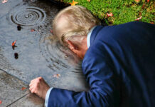 Trump Drowns In 2-Inch Puddle