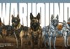 Warhound raises $200M to engineer war dogs and arm them with Anduril gear