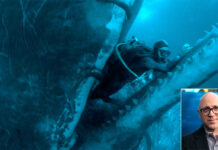 ‘Whalefall’ Writer Reveals Story Inspired By Time He Ate A Scuba Diver
