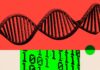 A bust-up between mathematicians is fuelling fears that AI could undermine science