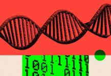 A bust-up between mathematicians is fuelling fears that AI could undermine science