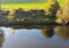 Fuel leak spreads more than two miles along River Taff