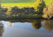 Fuel leak spreads more than two miles along River Taff