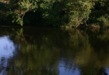 Yorkshire Water admits sewage scheme falls short