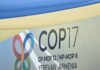 COP17 puts Armenia’s environmental record in the spotlight