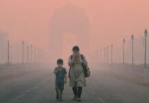 Air Pollution in India Left Out of UN Climate Pledge, Report Finds