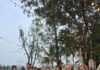 Alia Bhatt And Raha Enjoy Family Holiday In Goa Amid Ranbir Kapoorâs Ramayana Promotions
