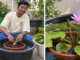 ‘A Couple of Pots and a Sunny Corner Is Enough to Get Started’: Gardener Shares How to Grow Water Lilies at Home