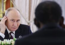 ‘Economic incentives are limited’: What does Russia really offer Africa?