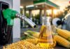 Govt Notifies Flex-Fuel Vehicle Rules: What E100 Means For Indian Car Owners