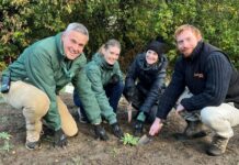 Volunteers help save one of London’s rarest plants
