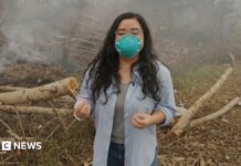 BBC visits wildfire front in haze-choked Indonesia