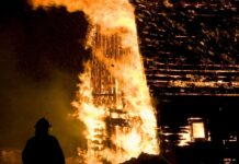 18,000 chickens die in fire at organic egg farm in the Netherlands