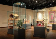 Why Bihar Museum Ranks 9th in the World, Beating New York’s Met & Other Icons