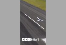 Regular spaceplane flights planned in project