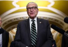 Schumer accused of yearlong plot to plant ‘decoy’ candidate in critical Senate race