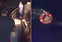 Bizarre reason woman went overboard on a Royal Caribbean cruise ship revealed