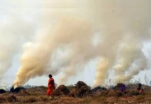 When Ash From Crop Fires Reached His Home, This 16-YO Led 30 ‘Student Guardians’ To Predict Fires Using AI