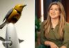 What’s going on between Kelly Clarkson and a Brooklyn store bird?