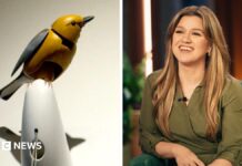 What’s going on between Kelly Clarkson and a Brooklyn store bird?