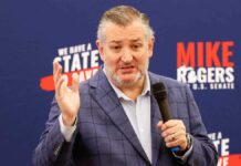 Cruz says there’s ‘real risk that Americans will die’ if El-Sayed gains access to US intelligence
