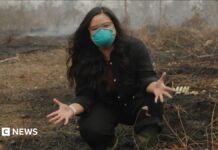 Why is a peat fire so bad? BBC is in Indonesia to find out